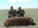 brothers_hog.JPG