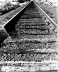tn_tracks.jpg