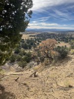 00725C80-1167-4A8F-9184-4DD3B4576745.jpeg 00725C80-1167-4A8F-9184-4DD3B4576745.jpeg