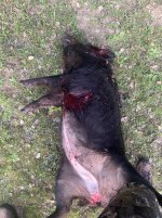 D1AA4033-59A4-4E2D-9A0D-8ADD6B2F7ACE.jpeg D1AA4033-59A4-4E2D-9A0D-8ADD6B2F7ACE.jpeg