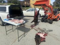 C4D56F89-9F06-464A-A9D2-799CB5CB75D6.jpeg C4D56F89-9F06-464A-A9D2-799CB5CB75D6.jpeg