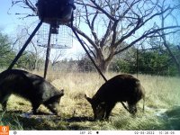 02050221.JPG 02050221.JPG