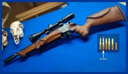 308 Bellm w cherry furniture sm.jpg