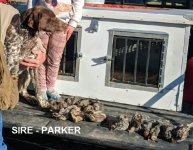 SIRE PARKER.jpg