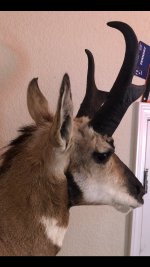 98DAFF80-2535-4A52-9A42-4AAEC2F19F00.jpg