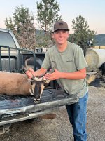 antelope 5.jpg antelope 5.jpg