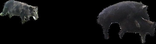 60580B75-6870-4503-A366-6A8AC7EA5F40.jpg