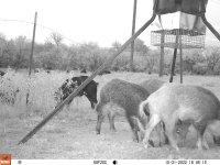 289AA10A-0257-4E35-BF33-880BE81D94ED.jpeg 289AA10A-0257-4E35-BF33-880BE81D94ED.jpeg