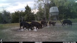 83873314-F6E3-4B70-8BB0-F44305B7E8B6.jpeg 83873314-F6E3-4B70-8BB0-F44305B7E8B6.jpeg