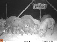 CAB3AC55-444D-46CB-9350-DF66324CDDDF.jpeg CAB3AC55-444D-46CB-9350-DF66324CDDDF.jpeg