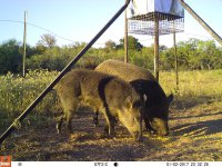 C53A461B-E8F7-40BD-B793-116E8743C703.jpeg C53A461B-E8F7-40BD-B793-116E8743C703.jpeg