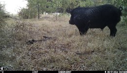 EF24DC85-15E2-4A1D-A766-A50B2758B1AA.jpeg EF24DC85-15E2-4A1D-A766-A50B2758B1AA.jpeg