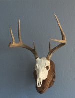 IMG_7251 (Edited)(1).JPG