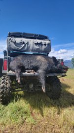 20230503_110151.jpg 20230503_110151.jpg