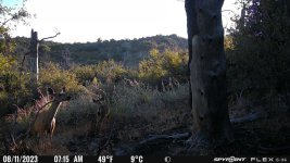 IMG_0619.JPG