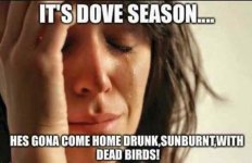 wife_drunk_sunburnt_dead_birds.jpg wife_drunk_sunburnt_dead_birds.jpg