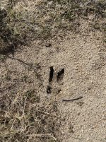 71547318641__6F65552C-4022-4BA3-B849-879F357027F5.jpeg 71547318641__6F65552C-4022-4BA3-B849-879F357027F5.jpeg