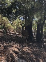 IMG_6354.jpeg