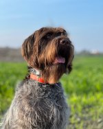 5E2FF853-E8D1-4B39-A735-CFBF9729166E.jpeg 5E2FF853-E8D1-4B39-A735-CFBF9729166E.jpeg