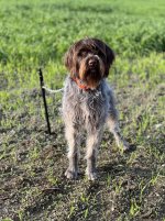 IMG_0064.jpeg IMG_0064.jpeg