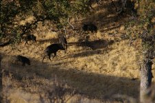 78095B6B-603B-41BB-9740-23ED26D0CB6D.jpeg 78095B6B-603B-41BB-9740-23ED26D0CB6D.jpeg