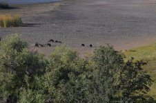 E1020925-B773-4262-A6A3-D75205BB2779.jpeg E1020925-B773-4262-A6A3-D75205BB2779.jpeg