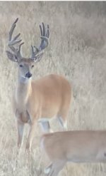 IMG_2584.jpeg IMG_2584.jpeg