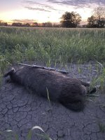 4F2D8A55-E155-4B46-B7A4-F536E4BC02FF.jpeg 4F2D8A55-E155-4B46-B7A4-F536E4BC02FF.jpeg