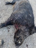 IMG_0983.jpeg IMG_0983.jpeg