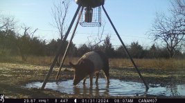 21416839-9CF5-4EC4-921F-7908D96A8879.jpeg 21416839-9CF5-4EC4-921F-7908D96A8879.jpeg