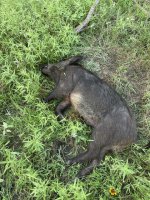 71B42C80-A2B3-40DD-845C-17411DDF10B5.jpeg 71B42C80-A2B3-40DD-845C-17411DDF10B5.jpeg