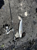 IMG_3928.jpeg IMG_3928.jpeg