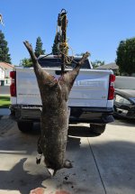 1000026420.jpg 1000026420.jpg