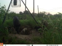 059E60B6-1784-4D50-8E8D-65AC29B5693D.jpeg 059E60B6-1784-4D50-8E8D-65AC29B5693D.jpeg