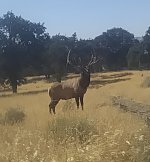 IMG_0102.jpeg