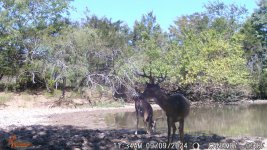 8C0F6CAC-B8C9-442A-8156-84AB6A7DE101.jpeg 8C0F6CAC-B8C9-442A-8156-84AB6A7DE101.jpeg