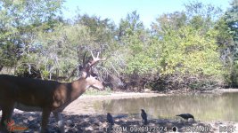 D391FA01-CF8B-444A-9652-5B0E6BA9CE69.jpeg D391FA01-CF8B-444A-9652-5B0E6BA9CE69.jpeg