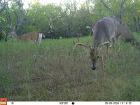 4AF8D6AA-D3BD-41BF-982C-86E988B102C8.jpeg 4AF8D6AA-D3BD-41BF-982C-86E988B102C8.jpeg