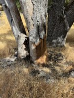 IMG_4920.jpeg