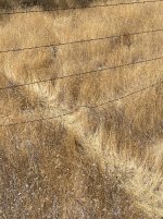IMG_6849.jpeg