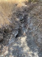 IMG_6848.jpeg