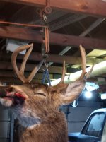 20211211_135507.jpg 20211211_135507.jpg