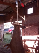 20211117_150732.jpg 20211117_150732.jpg