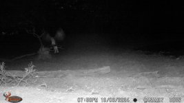 WGI_0086.JPG WGI_0086.JPG