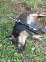 34A109AE-2E10-421C-8557-7830A8EBFAC0.jpeg 34A109AE-2E10-421C-8557-7830A8EBFAC0.jpeg