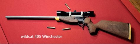 wildcat 405 Winchester.jpg