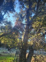 20250322_074348.jpg