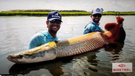 20250610_052150.jpg 20250610_052150.jpg