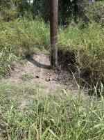 IMG_2186.jpeg