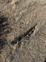 IMG_1152 Medium.jpeg
